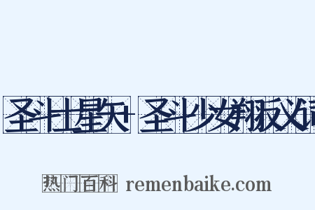 圣斗士星矢+圣斗少女翔反义词是什么意思的图片